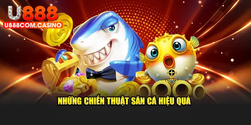 Chiến thuật săn cá chuẩn không cần chỉnh